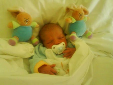 Mes petits lapinous